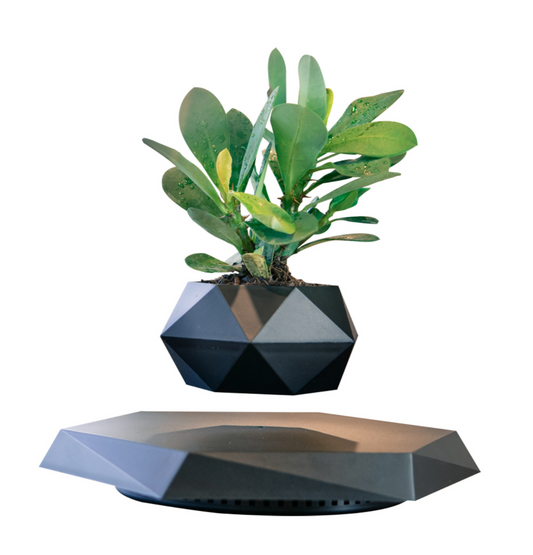 Schwebender Blumentopf - Magnetic Levitation Potted Plant